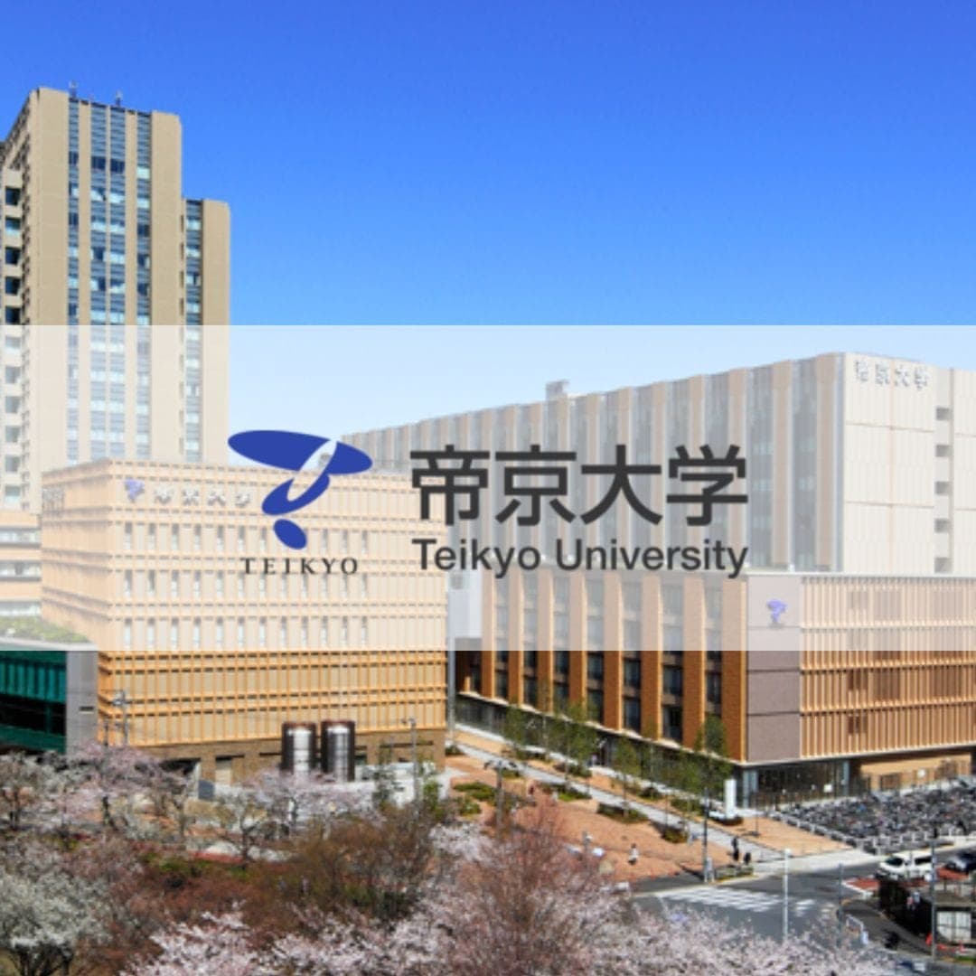 Teikyo University