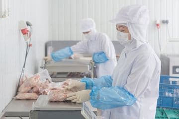SSW Industri Layanan Makanan