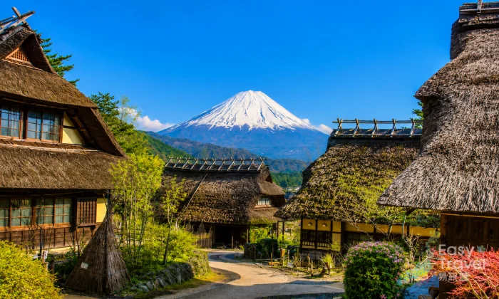 Lake Kawaguchi & Old Fuji Village Escape