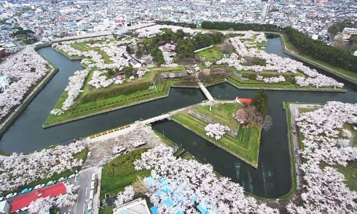 Hakodate Highlights: Night View & History