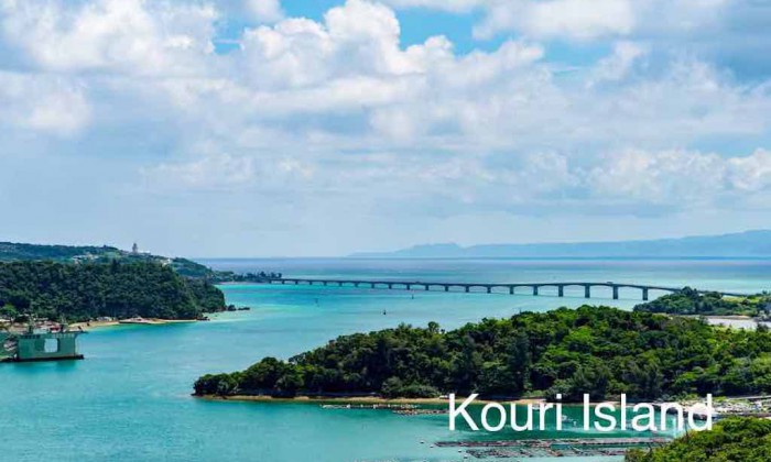Okinawa 4-Day Private Tour: Islands & Ryukyu