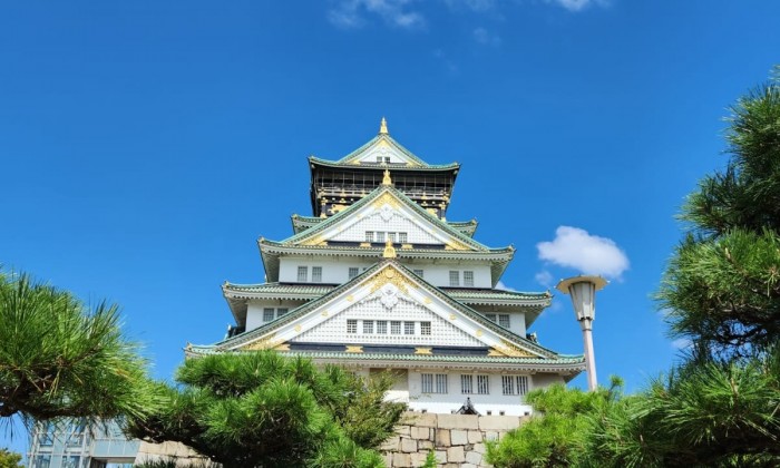 Osaka City Day Tour: Castle & Dotonbori