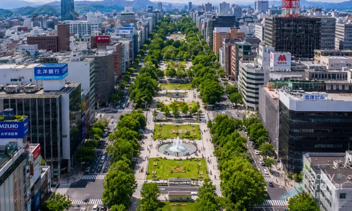 Sapporo City Highlights & Night Views