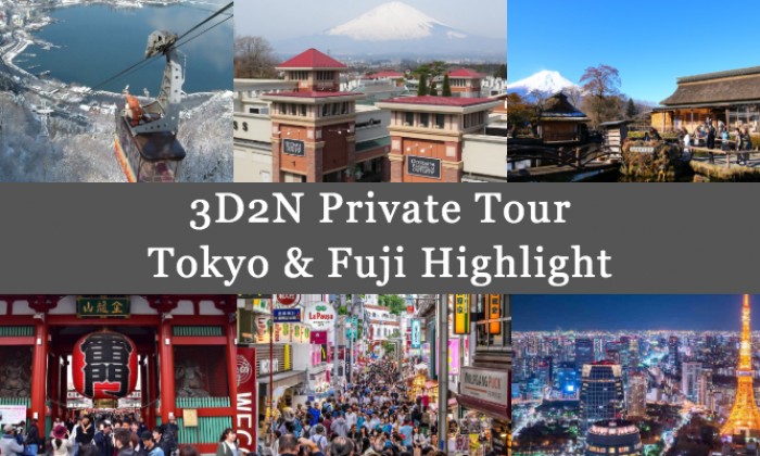Tokyo, Fuji & Hakone: 3-Day Private Tour